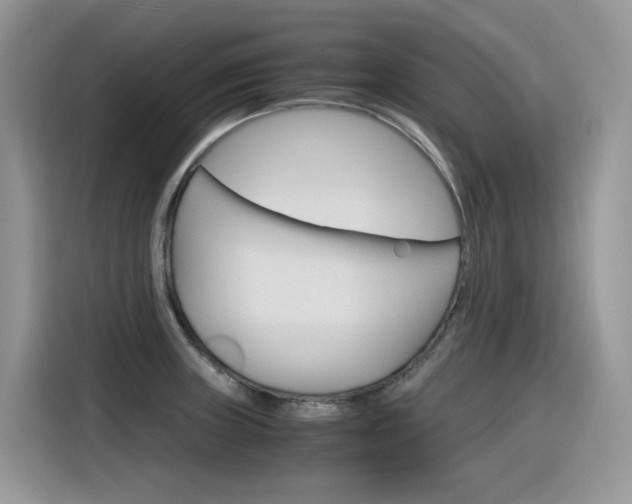 X0000116351235200912011032