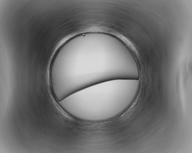 X0000116351238200912011032