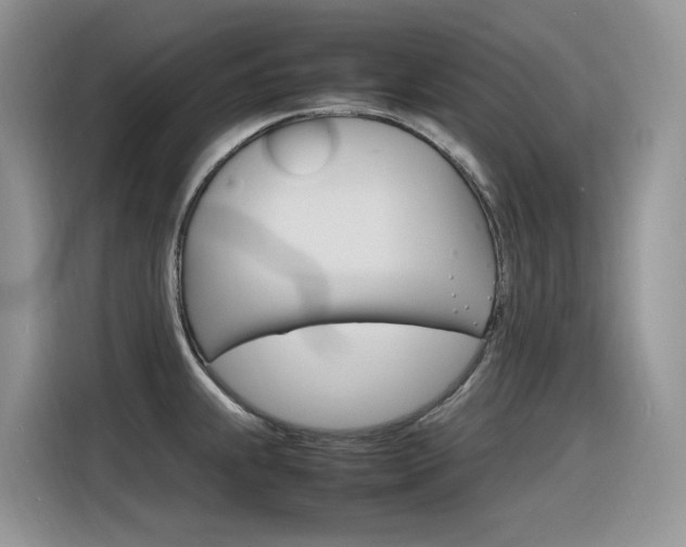 X0000116351239200912011032