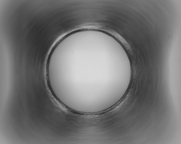 X0000116351240200912011032