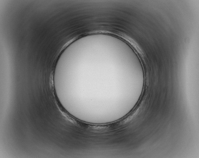 X0000116351241200912011032