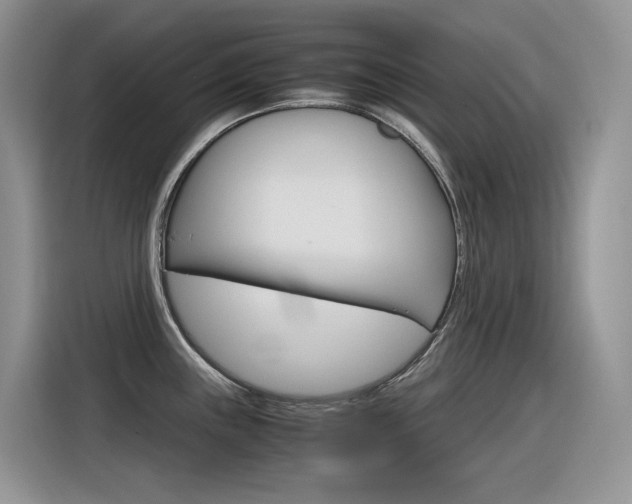 X0000116351243200912011032
