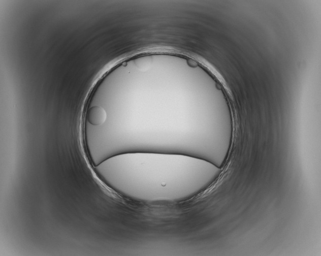 X0000116351245200912011032
