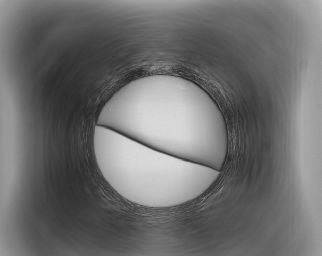 X0000116351250200912011031