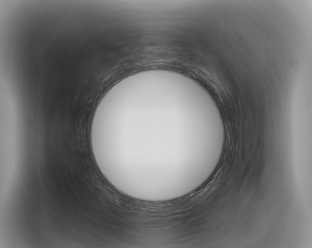 X0000116351252200912011031