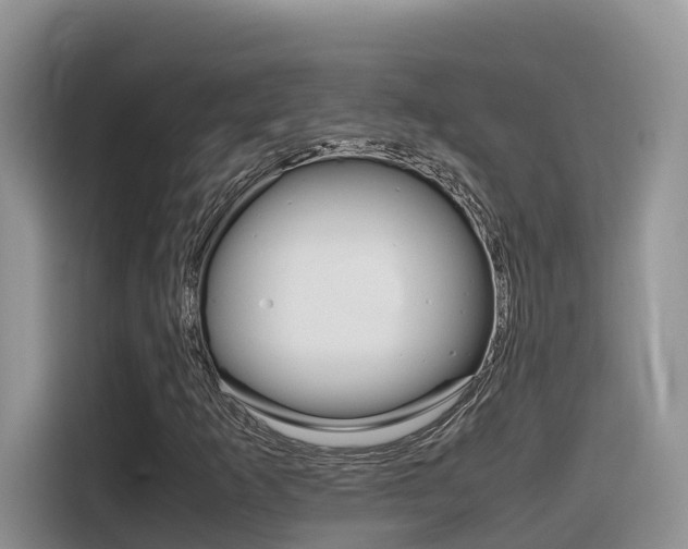 X0000116351253200912011031
