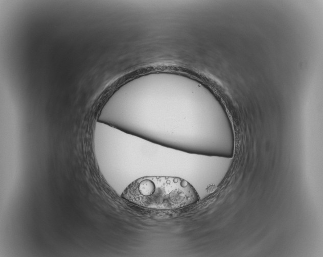 X0000116351255200912011031