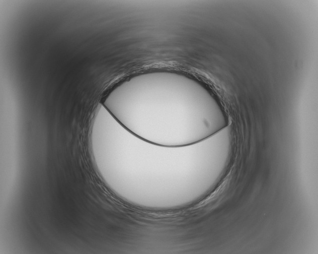 X0000116351257200912011031