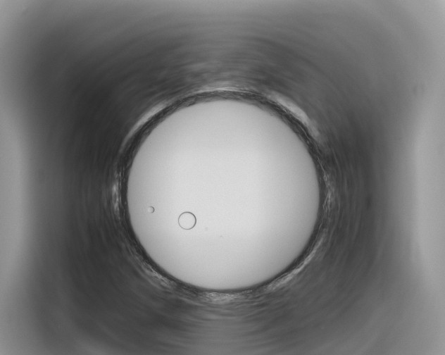 X0000116351258200912011031