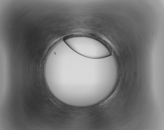 X0000116351259200912011031