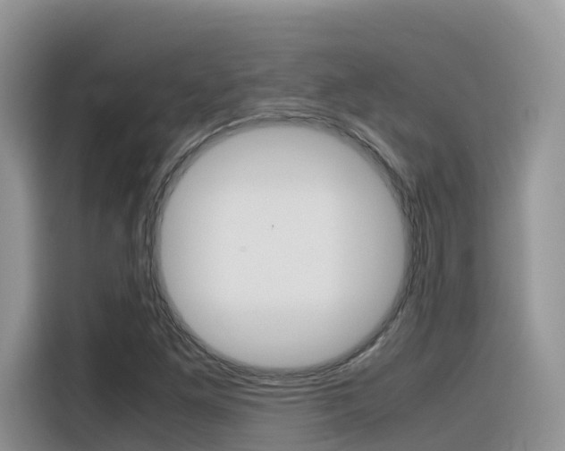 X0000116351261200912011031