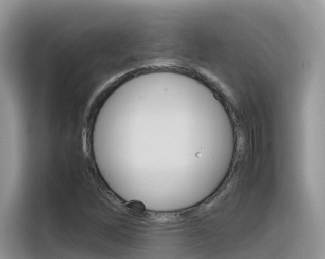 X0000116351262200912011031