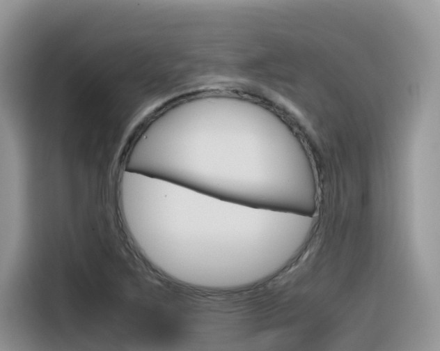 X0000116351267200912011031
