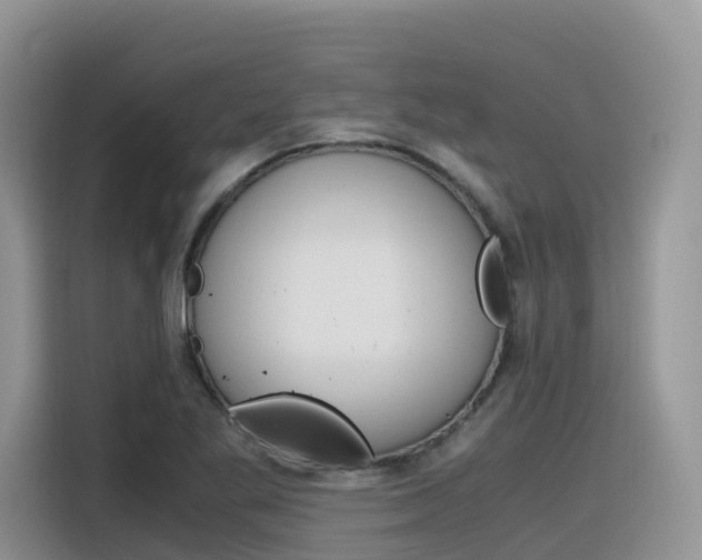 X0000116351269200912011031