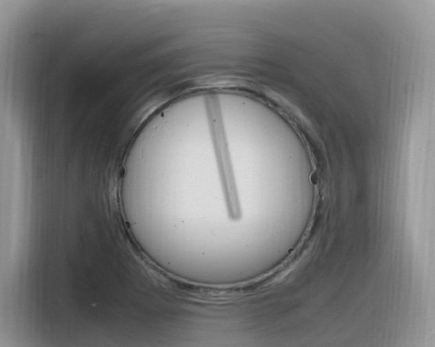 X0000116351273200912011031