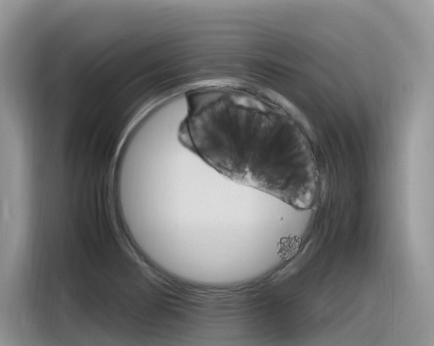 X0000116351274200912011031
