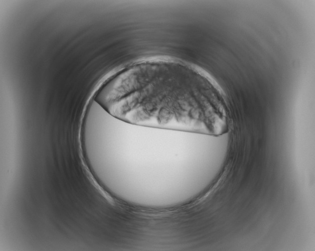 X0000116351282200912011031