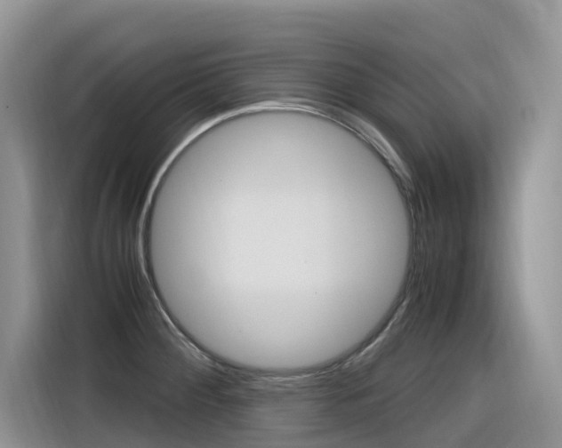 X0000116351284200912011031