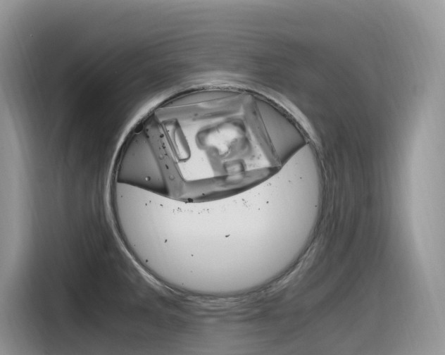 X0000116351285200912011031