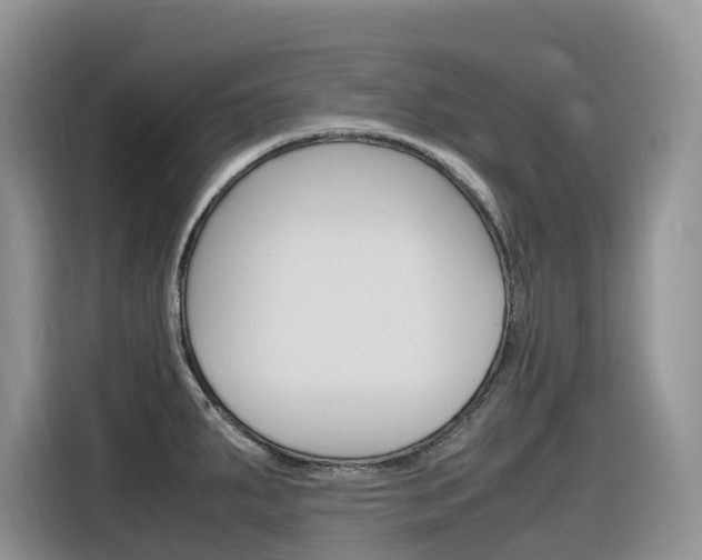 X0000116351287200912011031