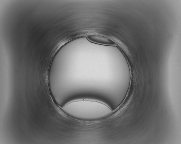 X0000116351289200912011031