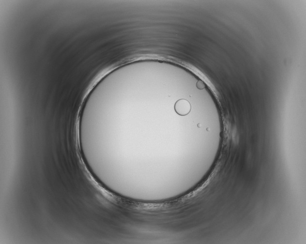 X0000116351290200912011031