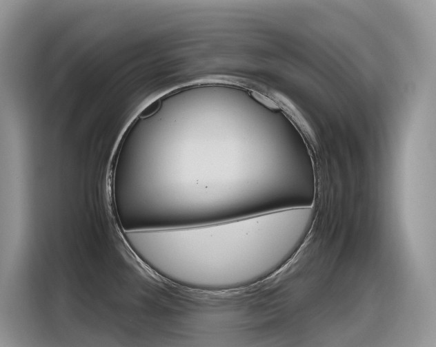X0000116351292200912011031