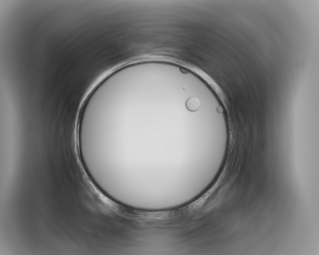 X0000116351294200912011031