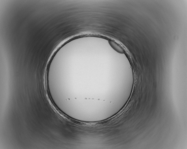 X0000116351295200912011031