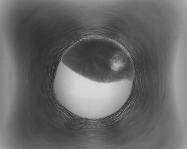X0000116351297200912011030