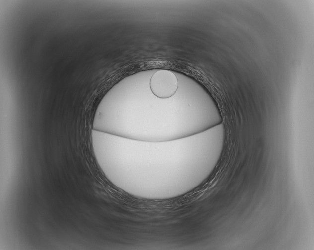 X0000116351299200912011030