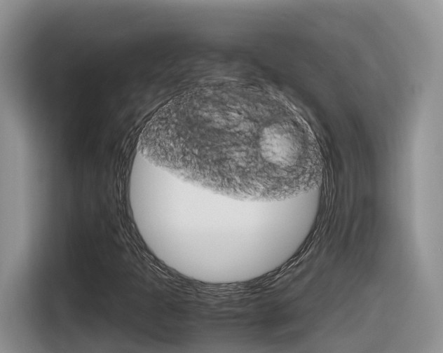 X0000116351301200912011030