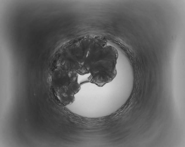 X0000116351302200912011030