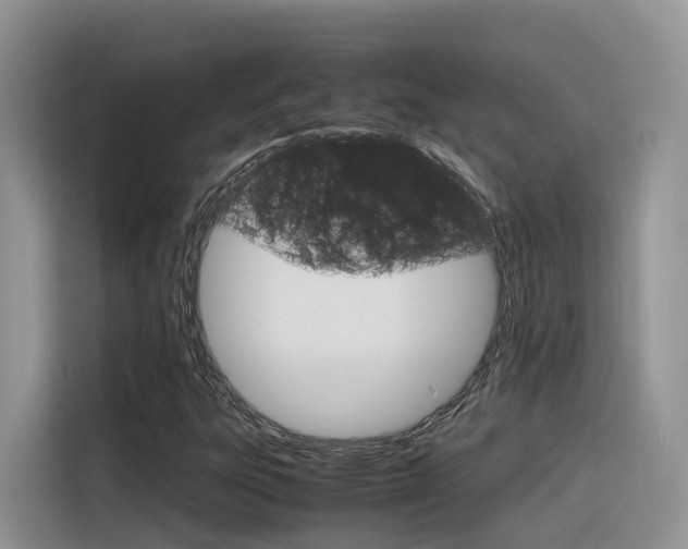X0000116351303200912011030