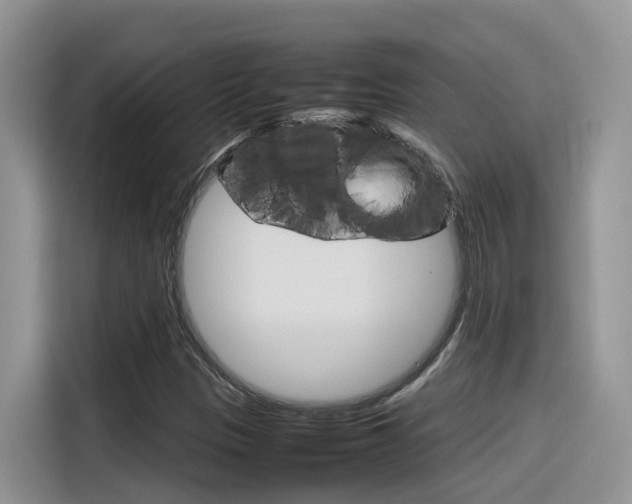 X0000116351305200912011030
