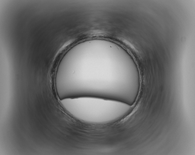 X0000116351309200912011030