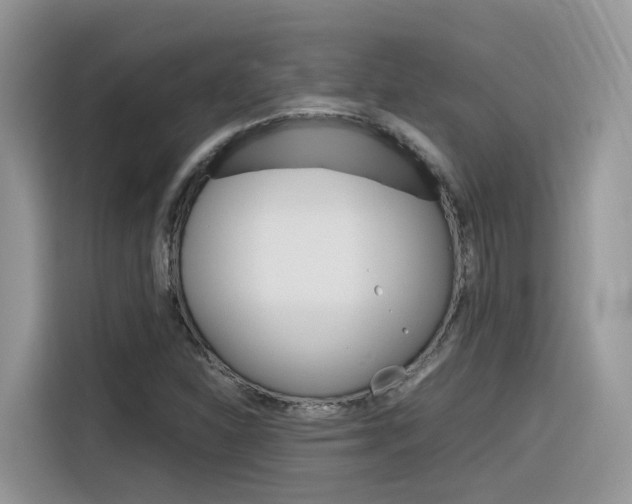 X0000116351310200912011030