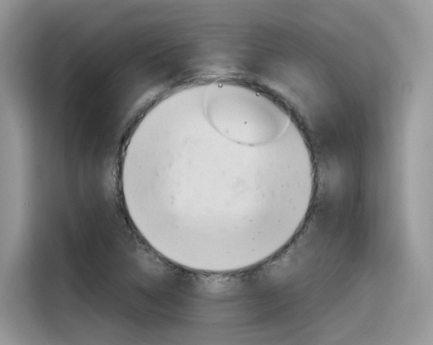 X0000116351314200912011030