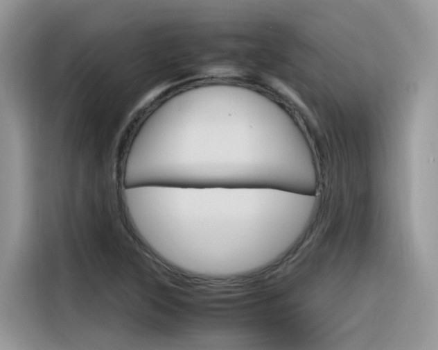 X0000116351315200912011030