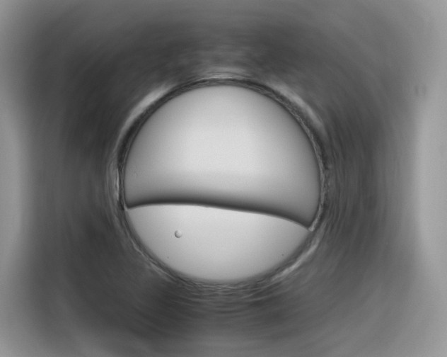 X0000116351317200912011030