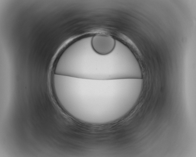 X0000116351323200912011030