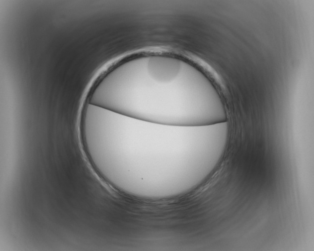 X0000116351327200912011030