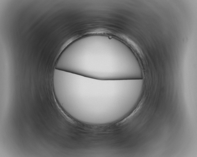 X0000116351329200912011030