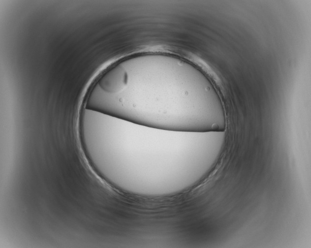 X0000116351331200912011030