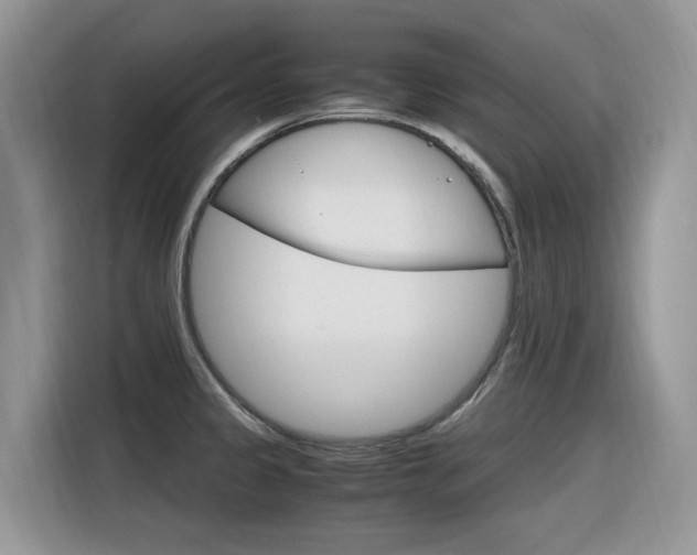 X0000116351333200912011030