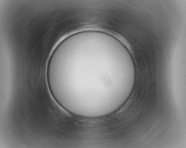 X0000116351334200912011030