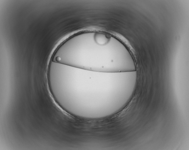 X0000116351335200912011031