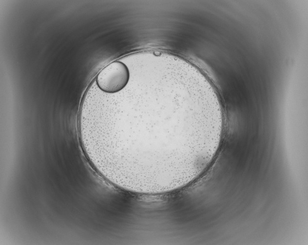 X0000116351338200912011031