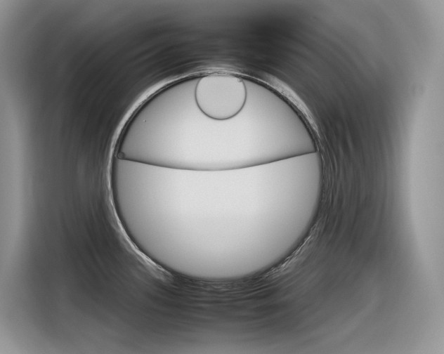 X0000116351339200912011031