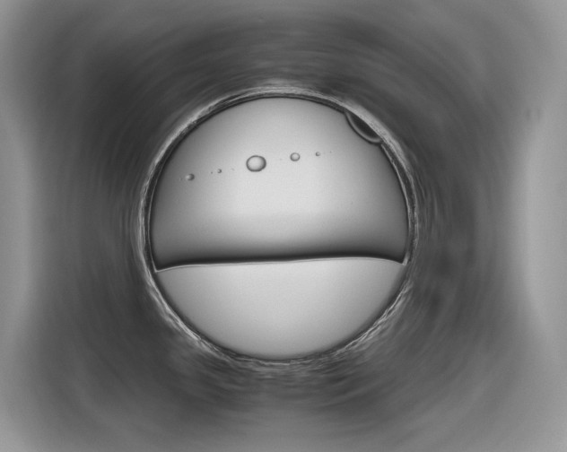 X0000116351341200912011031